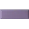 Colors viola
